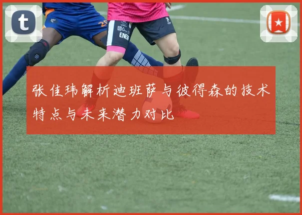 张佳玮解析迪班萨与彼得森的技术特点与未来潜力对比